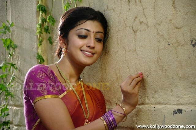 Telugu Actress Pranitha Sexy Stills