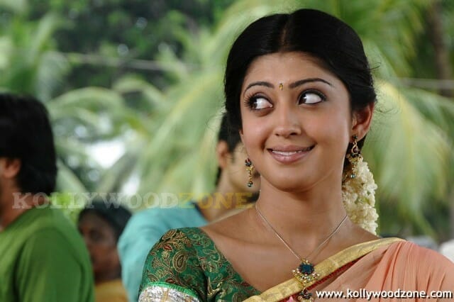 Telugu Actress Pranitha Sexy Stills