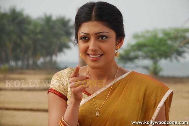 Telugu Actress Pranitha Sexy Stills