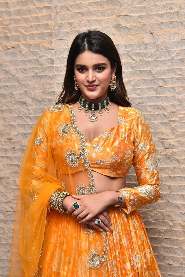 Telugu Heroine Nidhhi Agerwal Orange Photoshoot Pictures 16