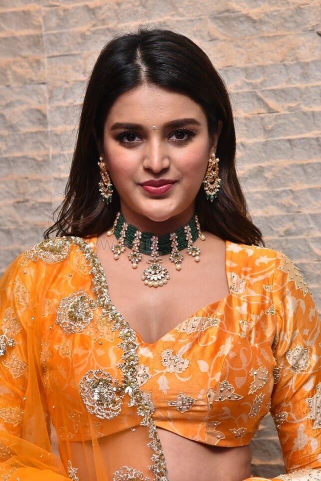 Telugu Heroine Nidhhi Agerwal Orange Photoshoot Pictures 17