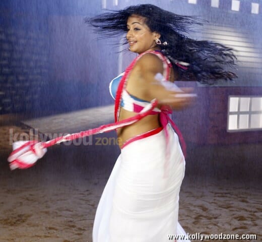 Tikka Movie Heroine Priyamani Hot Stills