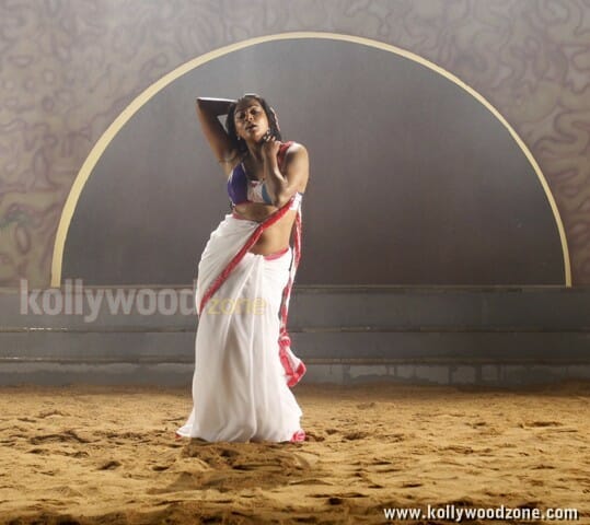 Tikka Movie Heroine Priyamani Hot Stills