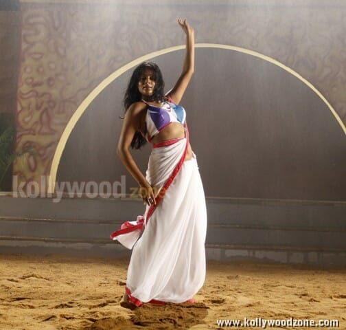 Tikka Movie Heroine Priyamani Hot Stills