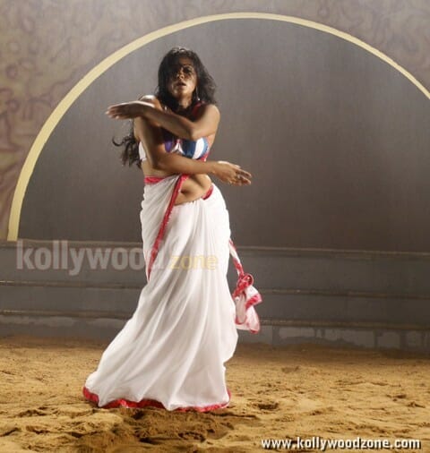 Tikka Movie Heroine Priyamani Hot Stills