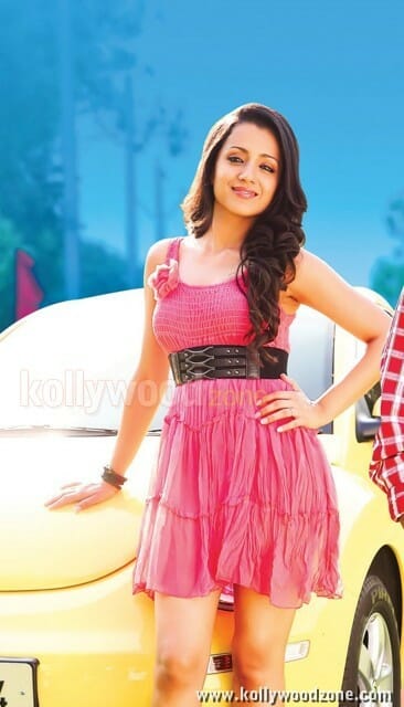 Trisha In Dammu Movie Photos