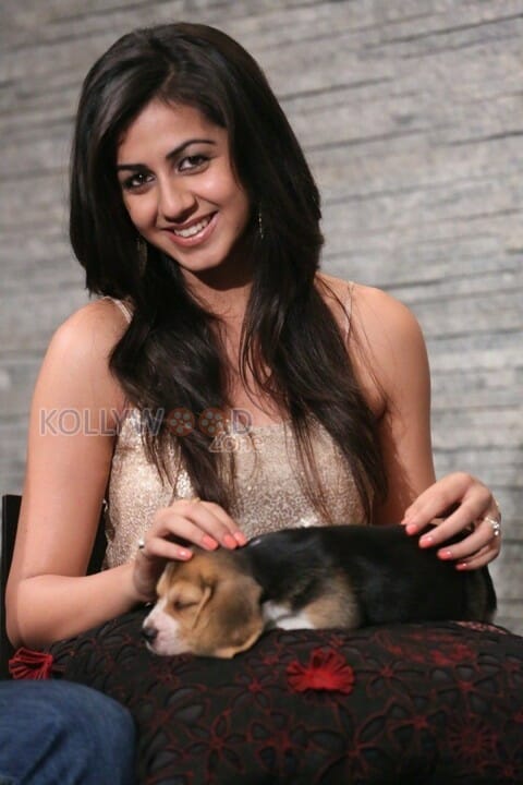 Yagavarayinum Naa Kaakka Heroine Nikki Galrani Pictures