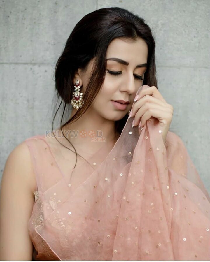 hot and sexy nikki galrani saree photos