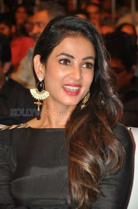 Actress Model Sonal Chauhan Photos