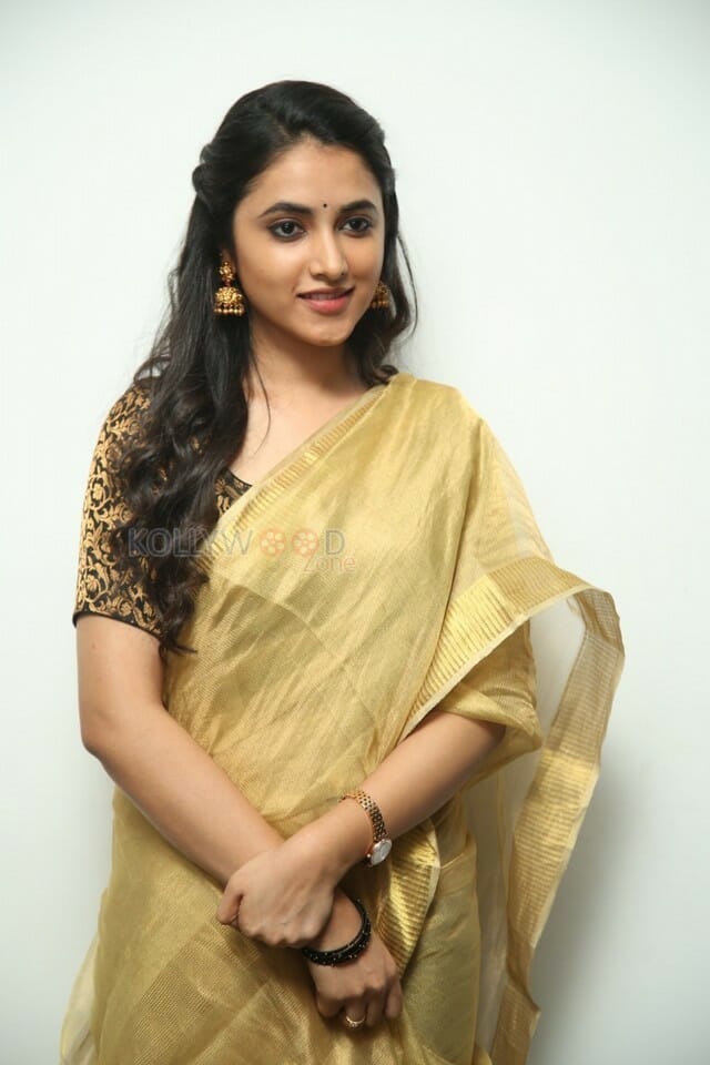 Actress Priyanka Arul Mohan At Gang Leader Movie Press Meet Pictures