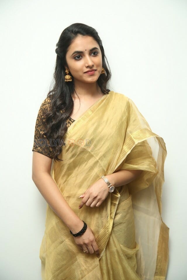 Actress Priyanka Arul Mohan At Gang Leader Movie Press Meet Pictures