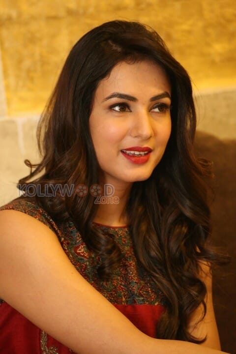 Actress Sonal Chauhan New Pictures