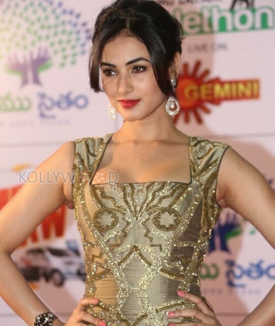 Actress Sonal Chauhan Photos