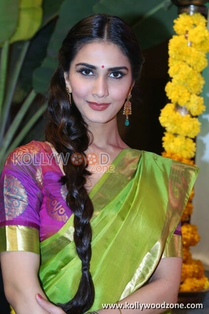 Actress Vaani Kapoor Saree Pictures