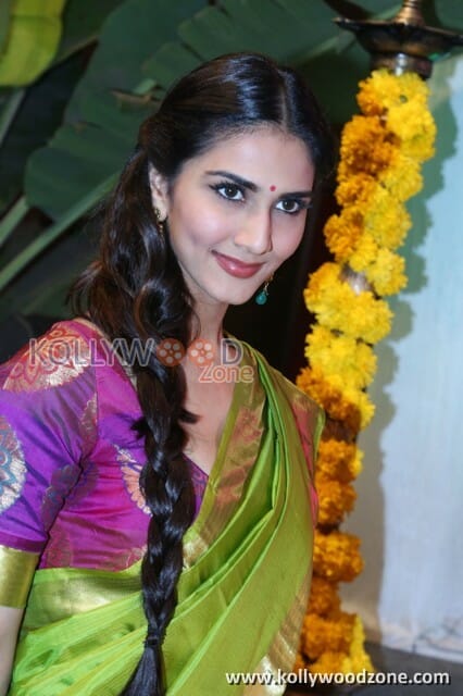 Actress Vaani Kapoor Saree Pictures