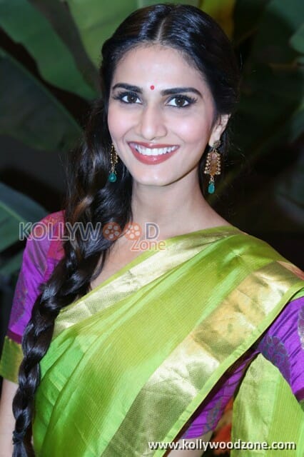 Actress Vaani Kapoor Saree Pictures