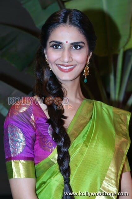 Actress Vaani Kapoor Saree Pictures