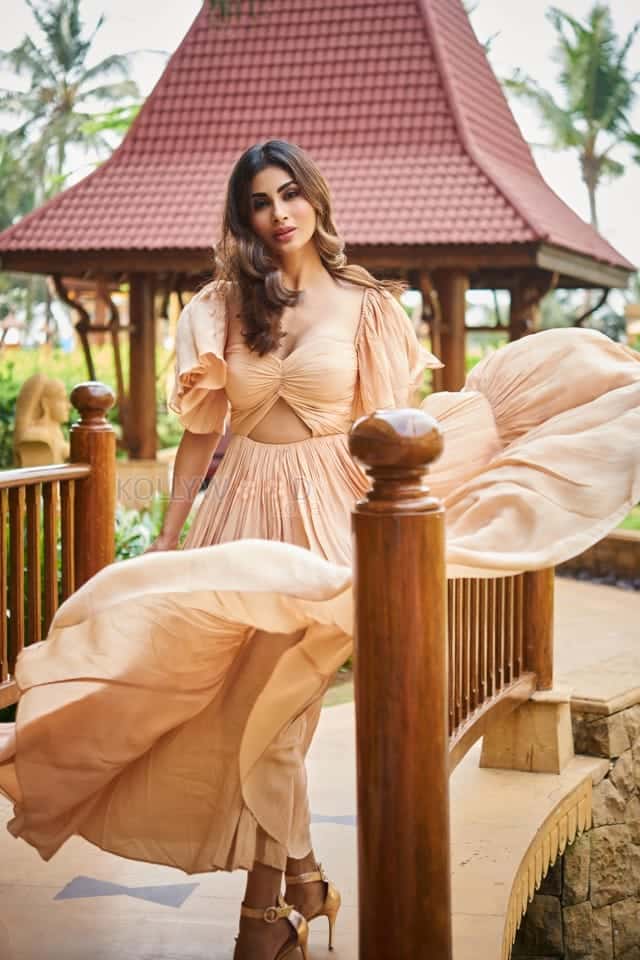 Beautiful Mouni Roy in a Beige Frock Photos 04