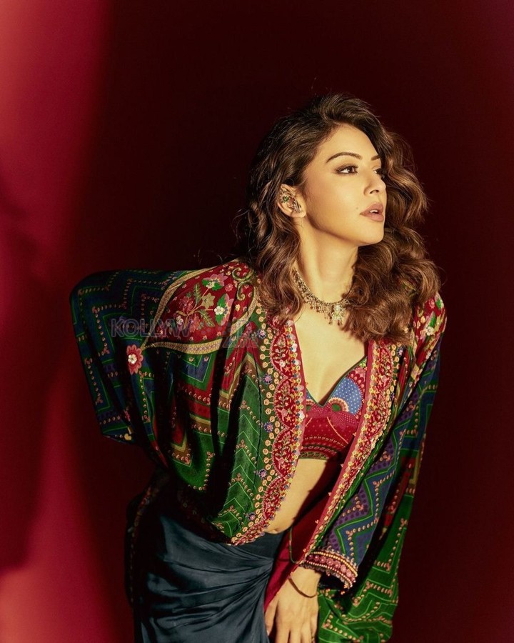 Dazzling Hansika Motwani in a Colourful Ethnic Outfit Photos 05