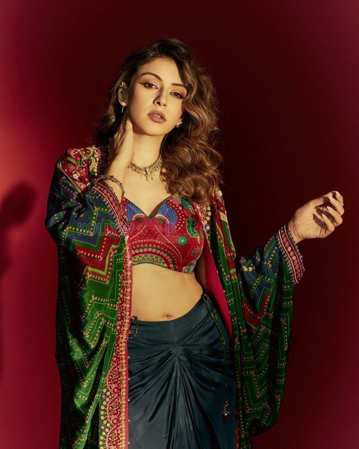 Dazzling Hansika Motwani in a Colourful Ethnic Outfit Photos 06