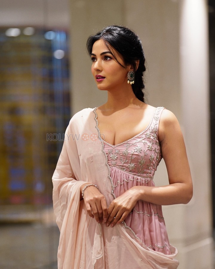 Elegant Beauty Sonal Chauhan in Pink Embroidered Dress Photos 02