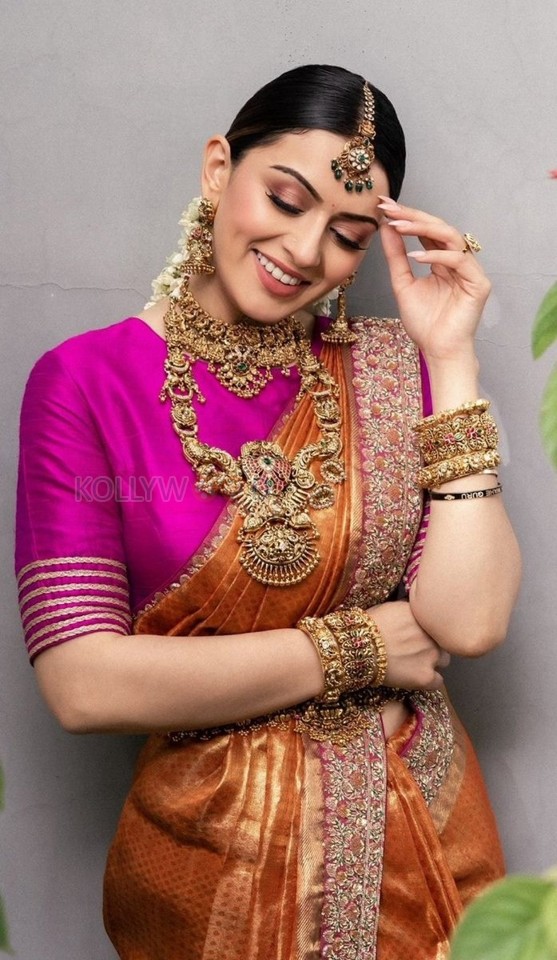 Elegant Hansika Motwani in a Pink and Orange Saree Pictures 02