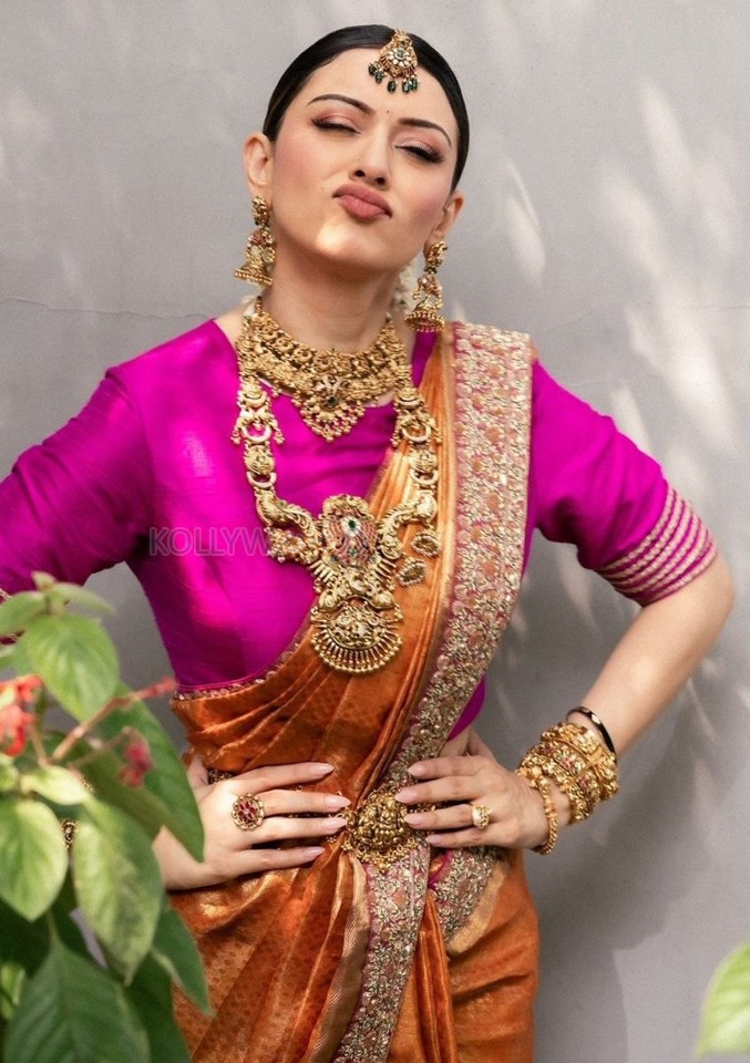 Elegant Hansika Motwani in a Pink and Orange Saree Pictures 04