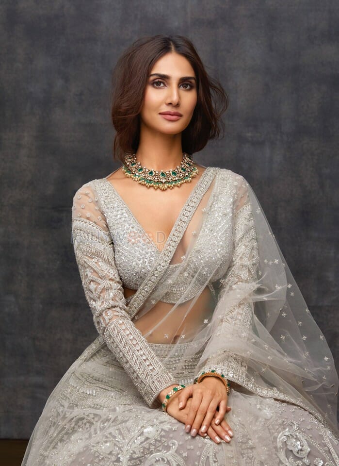 Fashion Beauty Vaani Kapoor Sexy Pictures 05