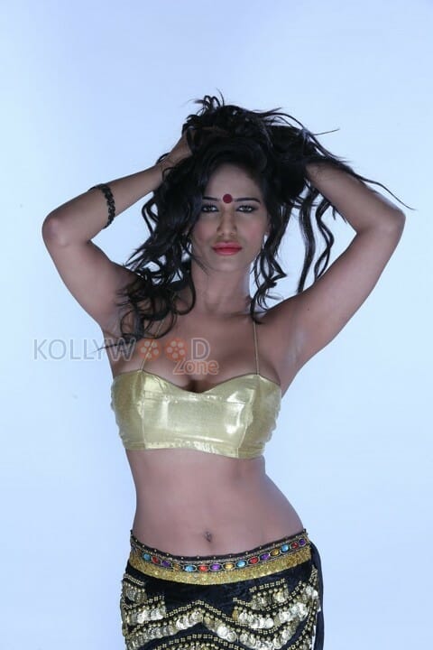 Glamour Model Poonam Pandey Hot Photoshoot Stills