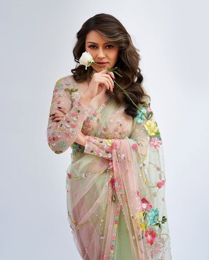 Graceful Hansika Motwani in a Pastel Green Floral Embroidered Saree with a Matching Full Sleeve Blouse Photos 03