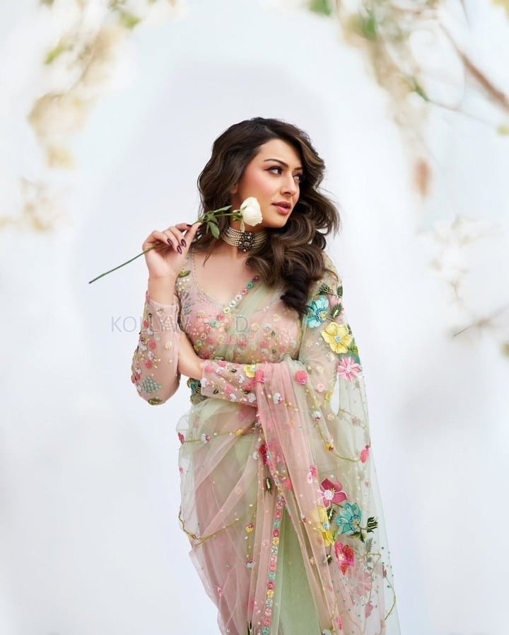 Graceful Hansika Motwani in a Pastel Green Floral Embroidered Saree with a Matching Full Sleeve Blouse Photos 04