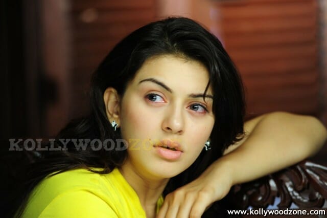 Hansika Motwani Hot Pictures