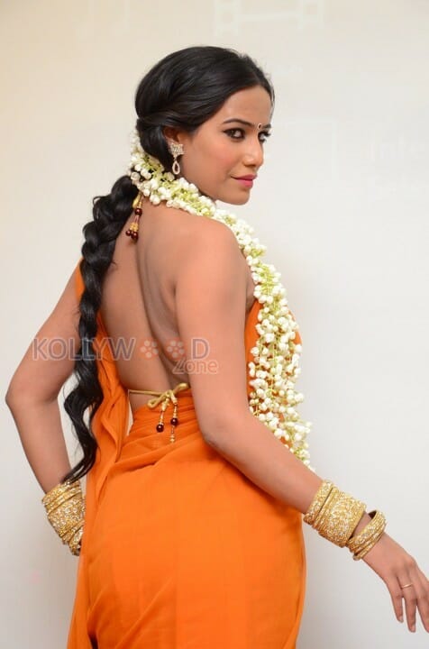 Hot Poonam Pandey Saree Pictures