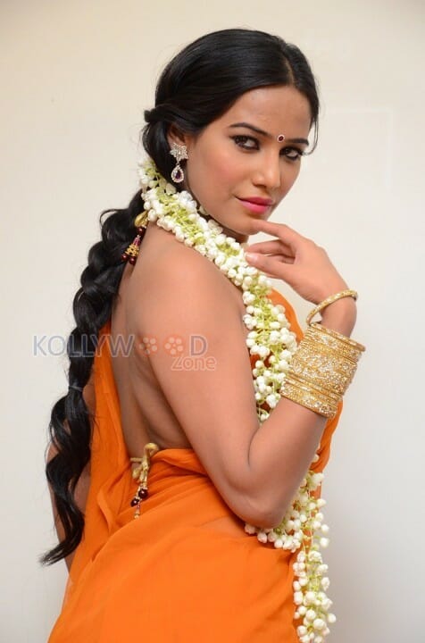 Hot Poonam Pandey Saree Pictures