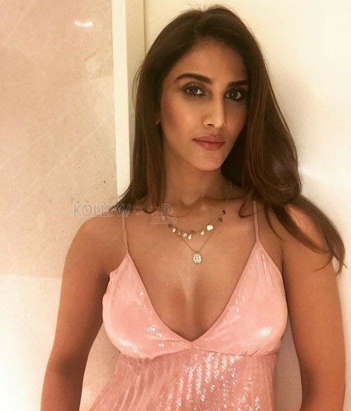 Indian Actress And Model Vaani Kapoor Photoshoot Photos