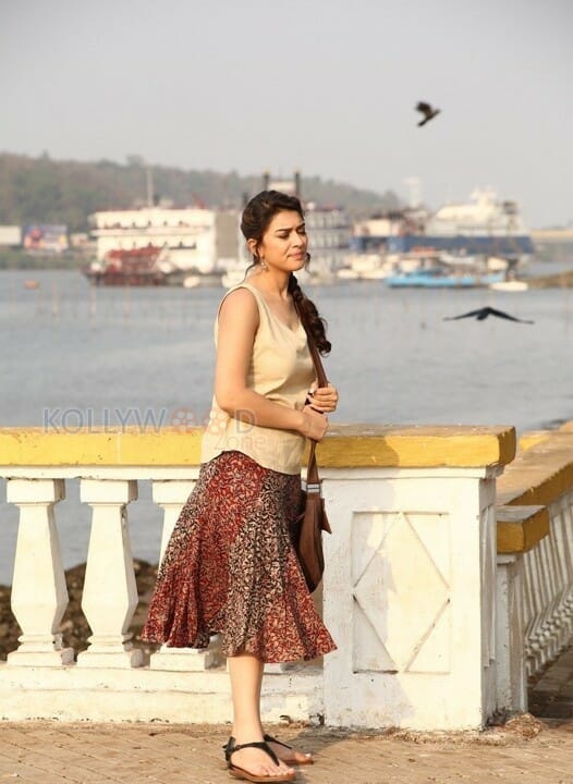 Mande Suryudu Movie Heroine Hansika Motwani Stills