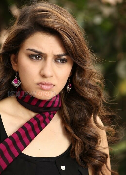 Mande Suryudu Movie Heroine Hansika Motwani Stills