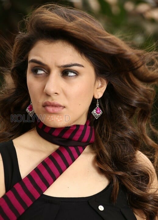 Mande Suryudu Movie Heroine Hansika Motwani Stills