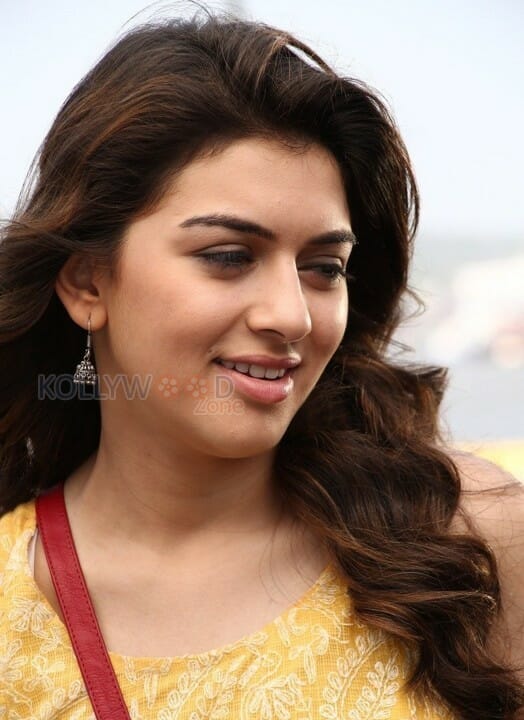 Mande Suryudu Movie Heroine Hansika Motwani Stills