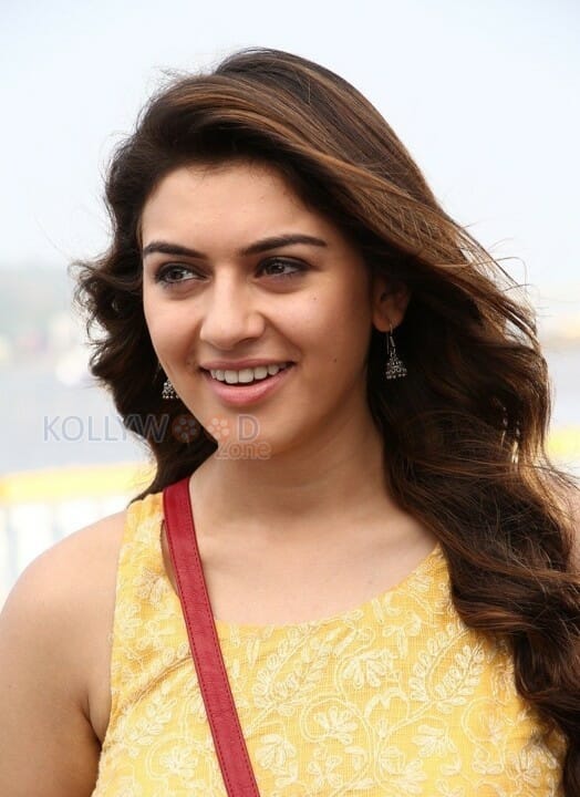 Mande Suryudu Movie Heroine Hansika Motwani Stills