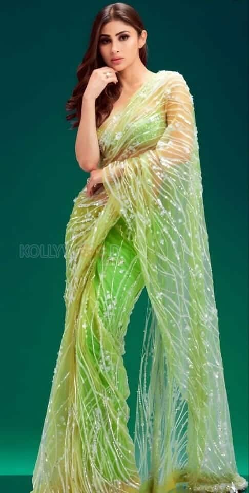 Mouni Roy in a Lemony Green Transparent Saree Photos 03