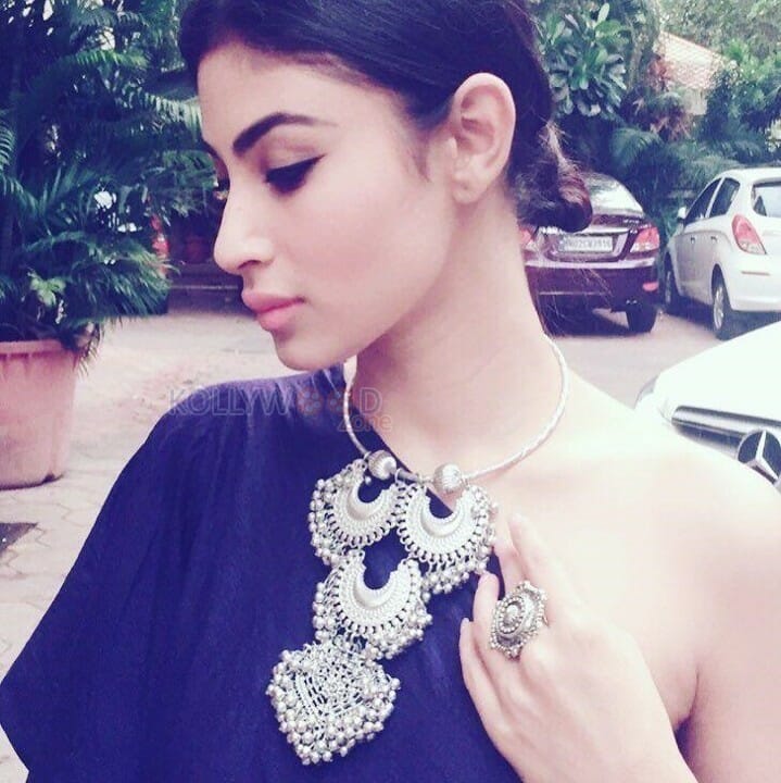 Naagin Actress Mouni Roy Photos