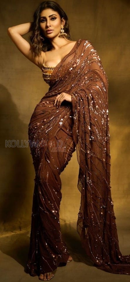 Sexy Mouni Roy in a Brown Chiffon Embroidered Floral Sequin Work Abstract Pattern Saree Photos 05