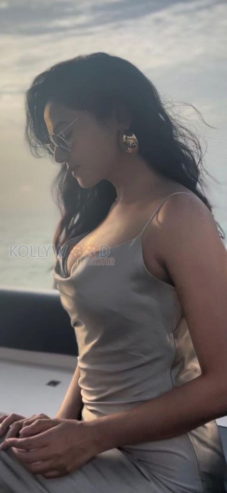 Sexy Sonal Chauhan in a Silver Maxi Dress Pictures 02