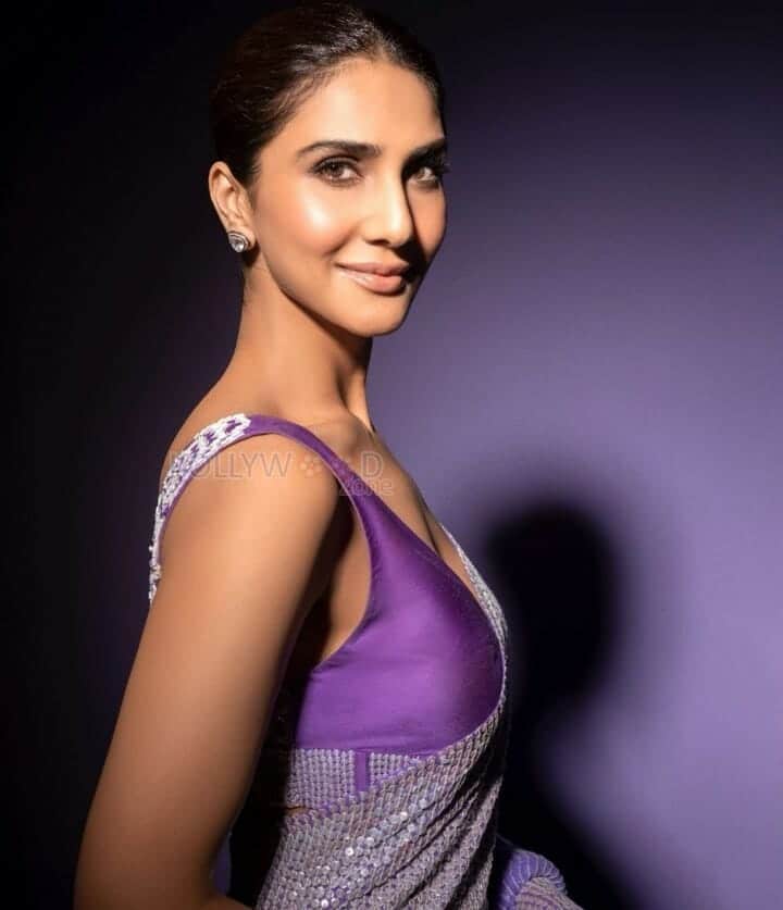 Vaani Kapoor Sizzling in Manish Malhotra Sequin Saree Pictures 02