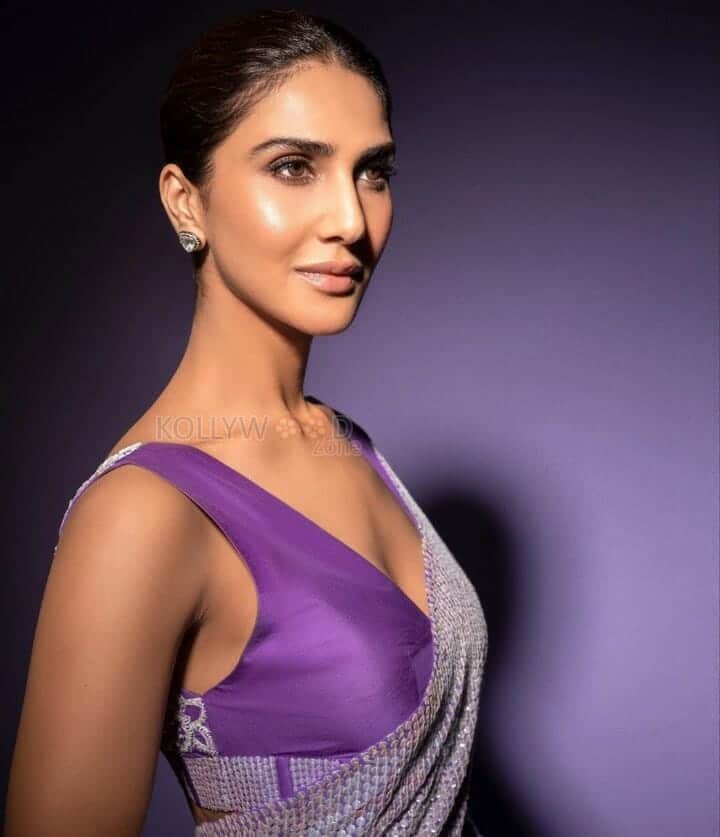 Vaani Kapoor Sizzling in Manish Malhotra Sequin Saree Pictures 03