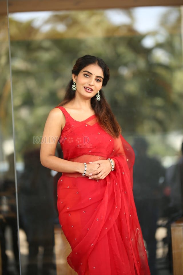 Actress Ananya Nagalla at Sreekakulam Sherlock Holmes Trailer Launch Event Photos 43