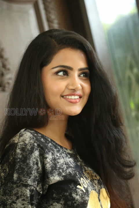 Actress Anupama Parameshwaran Photos