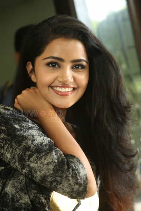 Actress Anupama Parameshwaran Photos