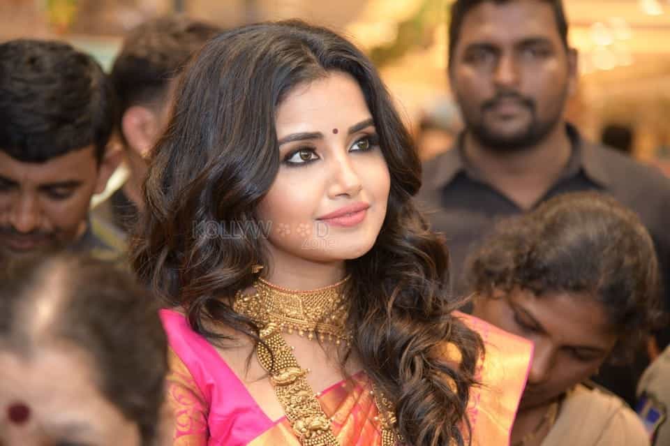 Actress Anupama Parameswaran At Anutex Shopping Mall Grand Festival Prizes And Collection Launch Photos